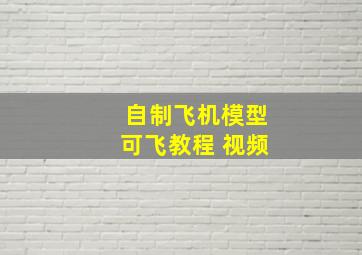 自制飞机模型可飞教程 视频